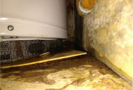 Preventative water heater replacement damage photos